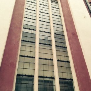 viltībiņa Rīgas Reformātu baznīcā