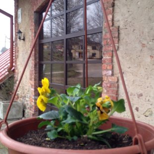 Siguldas apartamenti