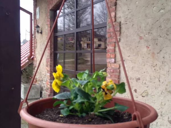 Siguldas apartamenti
