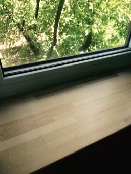PVC 3K logs ar koka palodzi